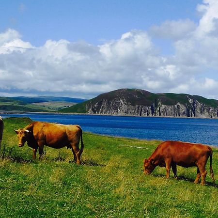 Rural Farmhouse On Kintyre, West Coast Hidden Gem Kildalloig Exterior foto