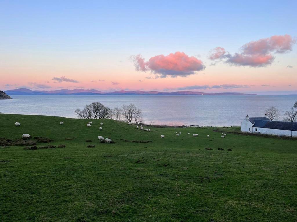 Rural Farmhouse On Kintyre, West Coast Hidden Gem Kildalloig Exterior foto